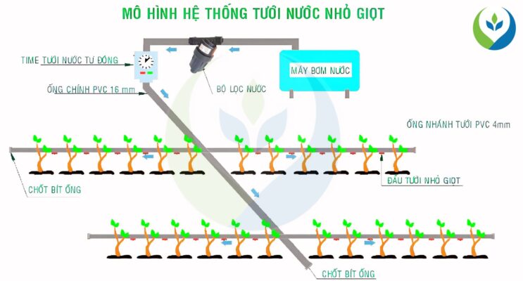 tưới nhỏ giọt mô hình
