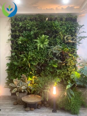 tưới tường cây 