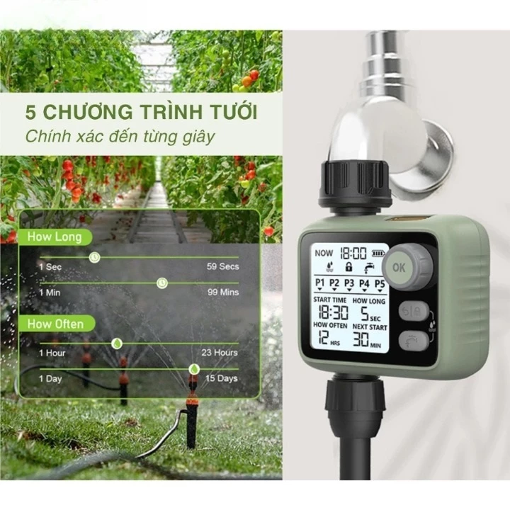 vn-11134207-7r98o-luq25j8dpngyec